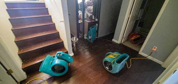 Best Flood restoration services  in Gautier, MS