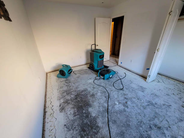 Best Emergency water damage restoration  in Gautier, MS