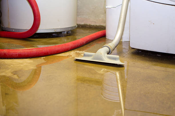 Best Water damage mitigation services  in Gautier, MS