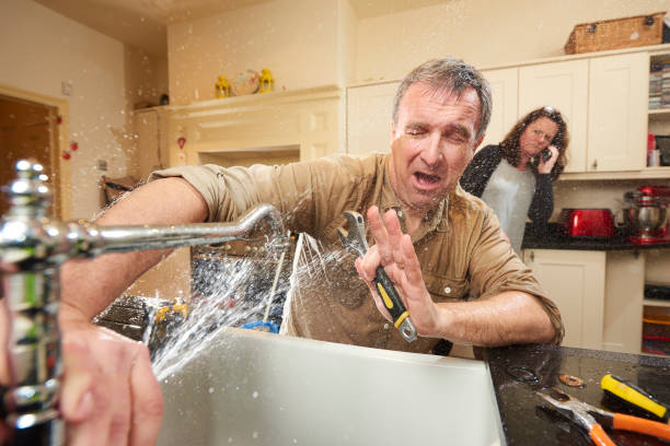 Best Mold removal after water damage  in Gautier, MS